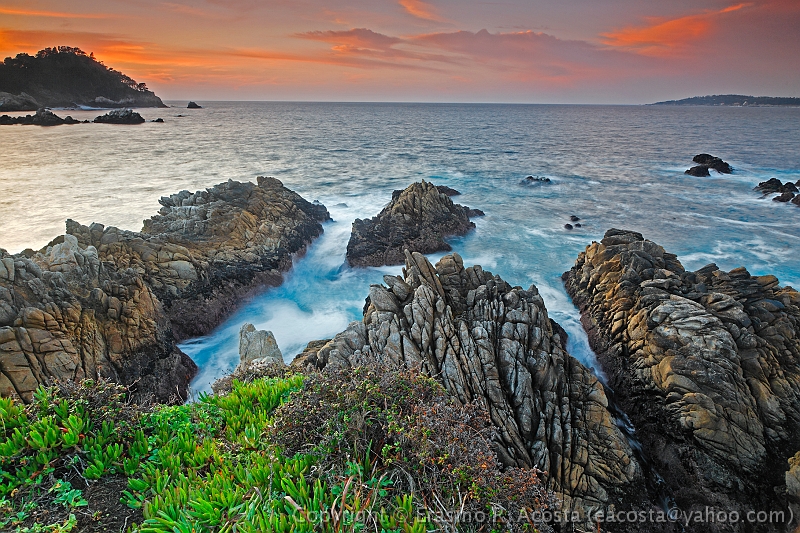 _MG_5510_out