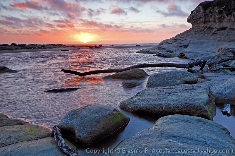 _MG_7743_DxO_raw
