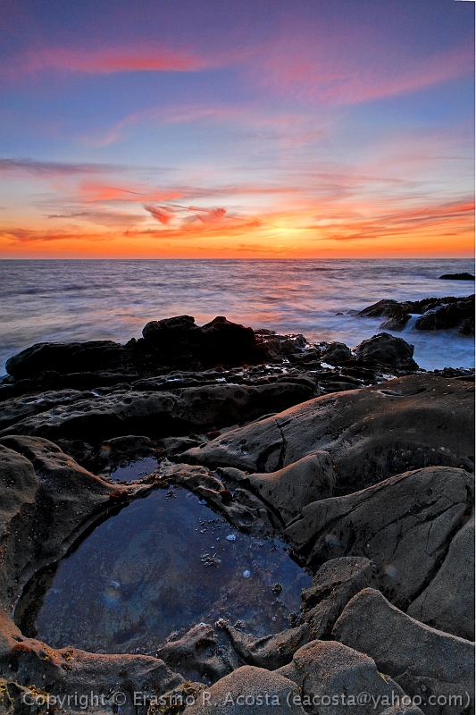 _MG_8363_DxO_raw