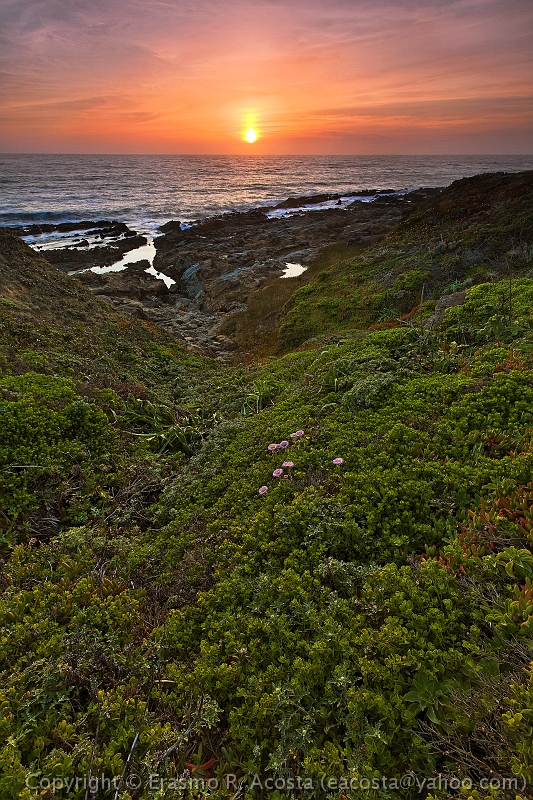 _mg_9714_DxO_RAW_v2_8x12