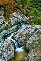  Winding Stream