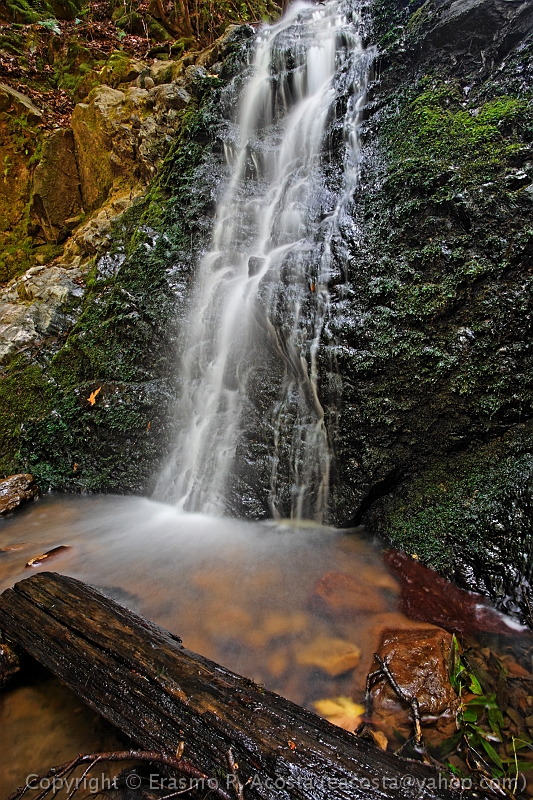 _MG_0995