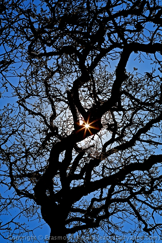 _MG_7483_DxO_raw