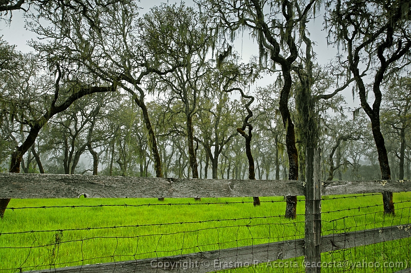 _MG_7626_DxO_raw-ALTERED