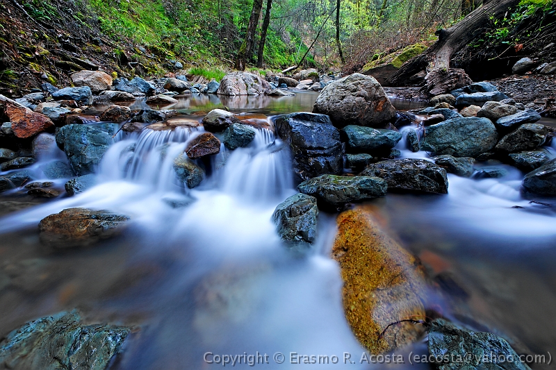 _MG_7641_DxO_raw