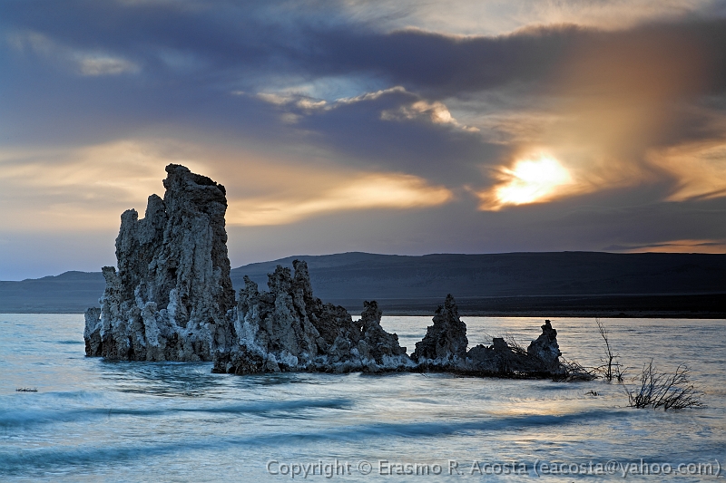 _MG_8575_DxO_raw
