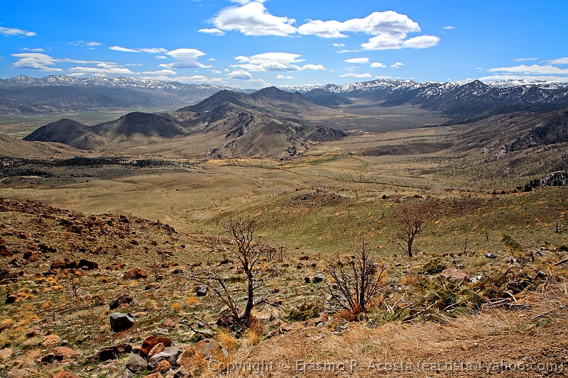 _MG_8666_DxO_raw