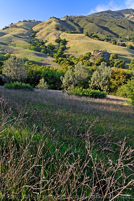 _MG_8693_DxO_raw