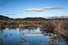  Wetlands Moonset