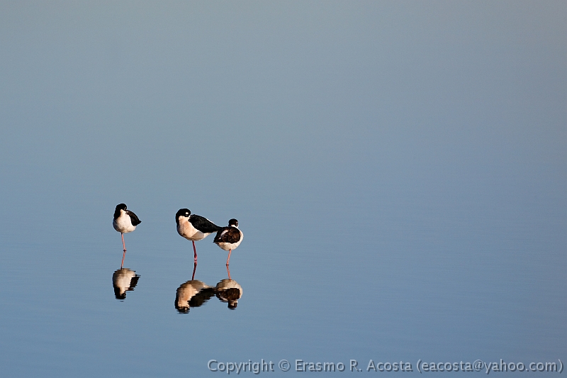 _MG_2520_DxO_raw-CROPPED
