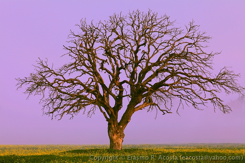 _MG_5835_8x12