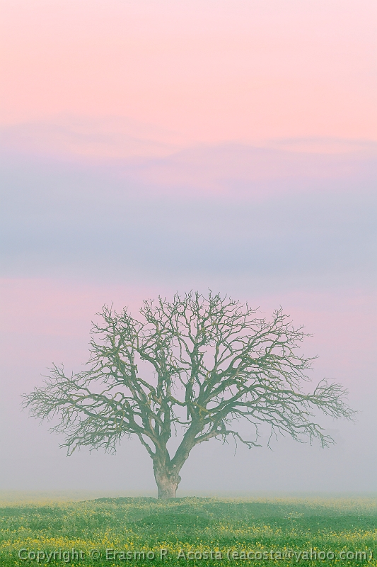 _MG_5976_8x12