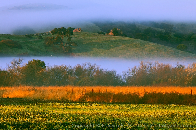 _MG_5991_8x12