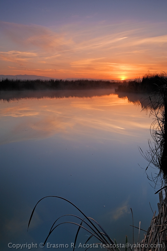 _MG_8147_DxO_raw