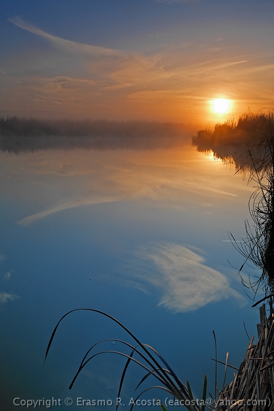 _MG_8204_DxO_raw