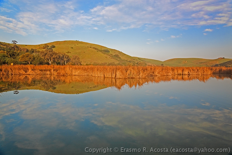 _MG_8232_DxO_raw