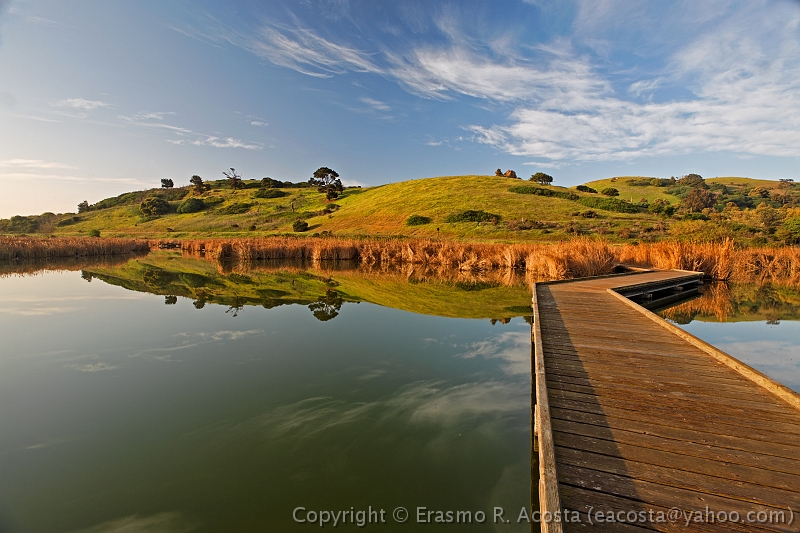 _MG_8249_DxO_raw