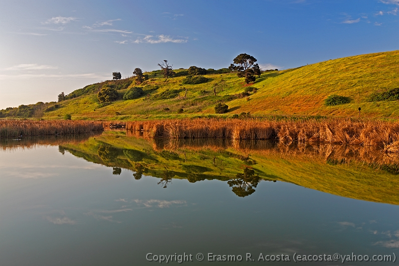 _MG_8250_DxO_raw