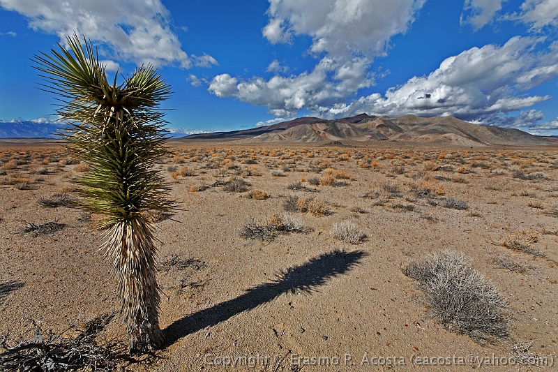 _MG_5835_DxO_raw