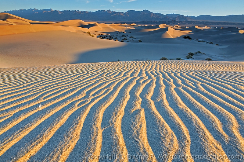 _MG_6198_DxO_raw-01
