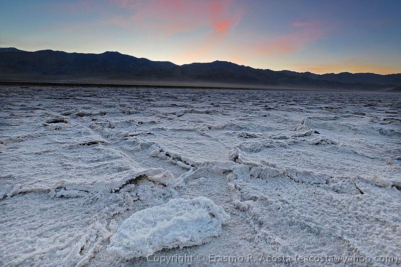 _MG_6298_DxO_raw