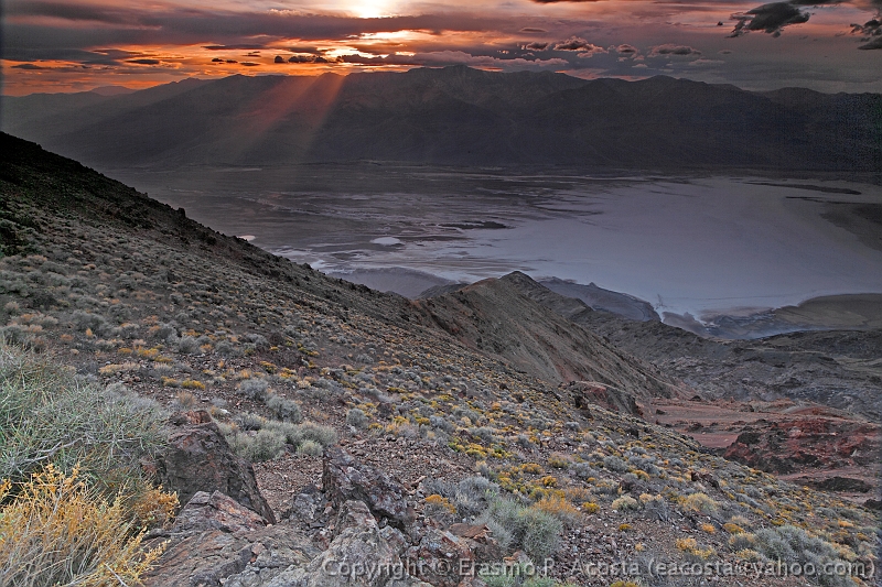 _MG_6455_DxO_raw-LAYERS