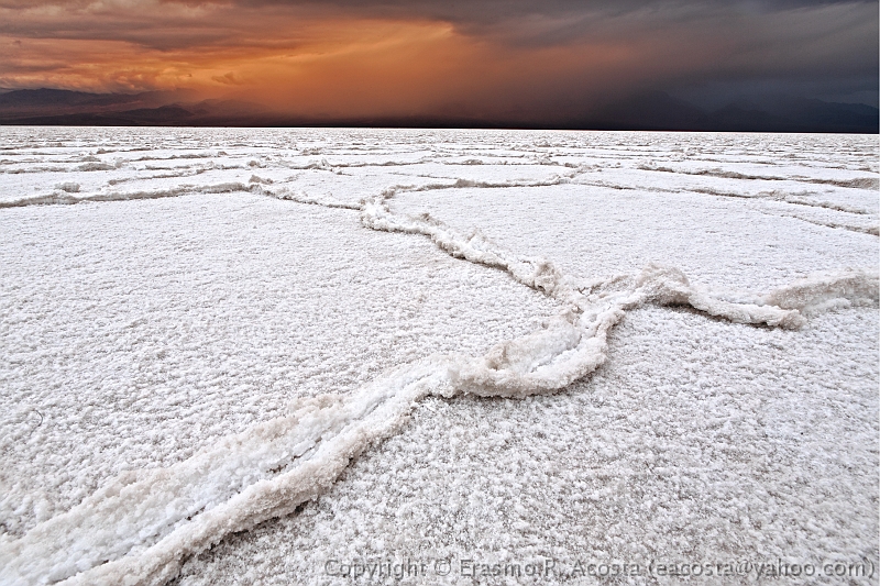 _MG_6572_DxO_raw