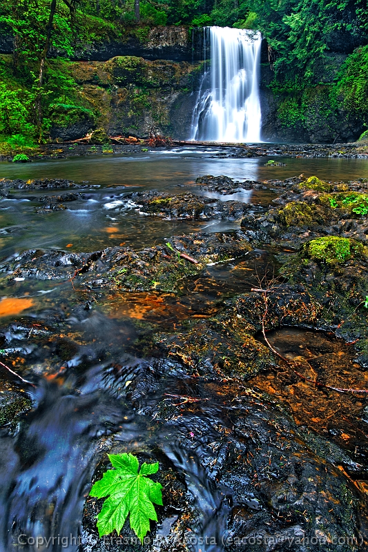 _MG_1937_DXO-Cropped_8x12