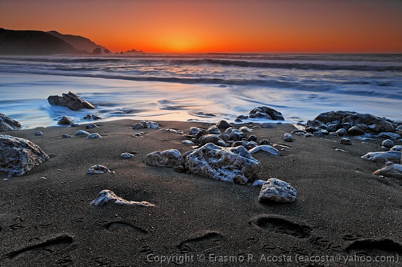 _MG_4517_DxO_raw