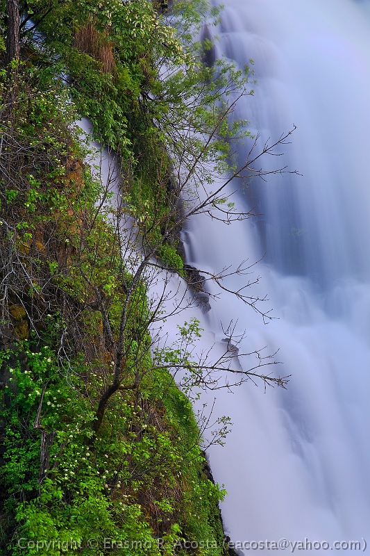 _mg_0051_DxO_RAW_8x12