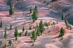  Painted Dunes