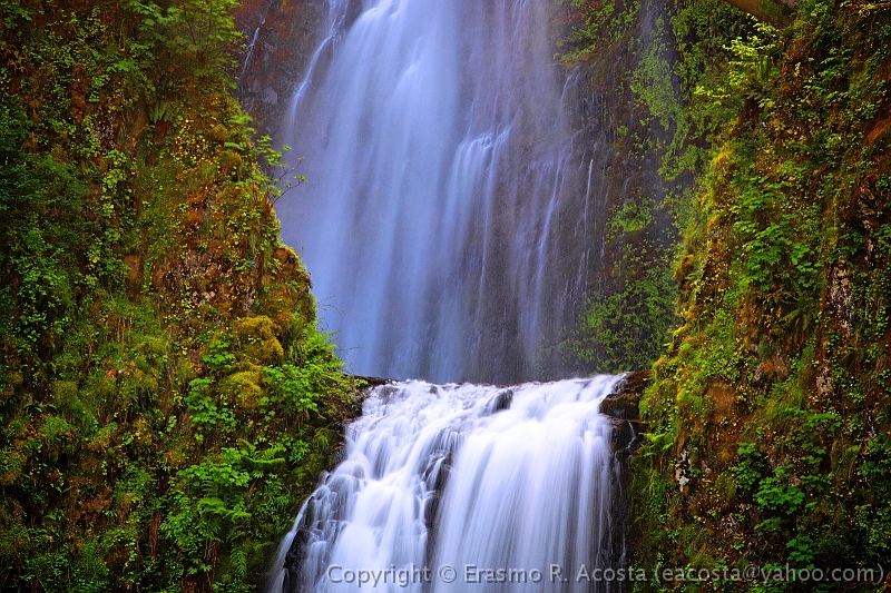 _MG_1341_DXO_8x12