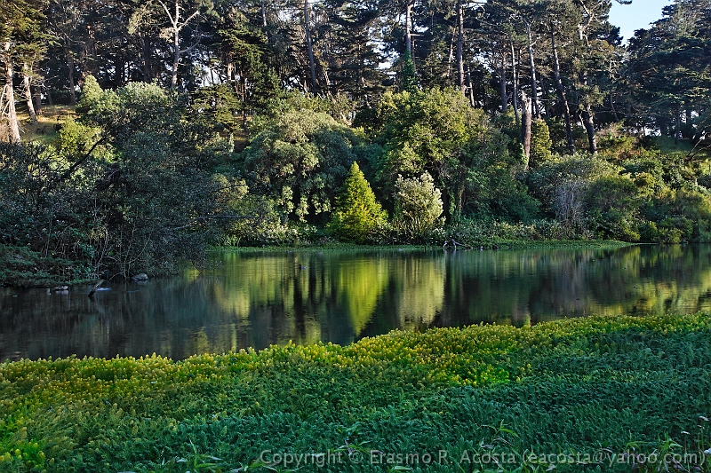 _MG_2243_DXO