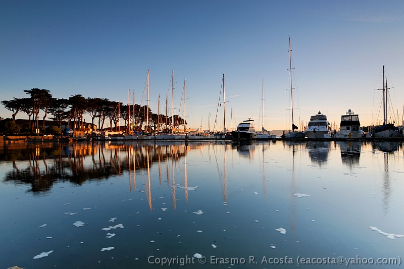 _MG_2519_DxO_raw