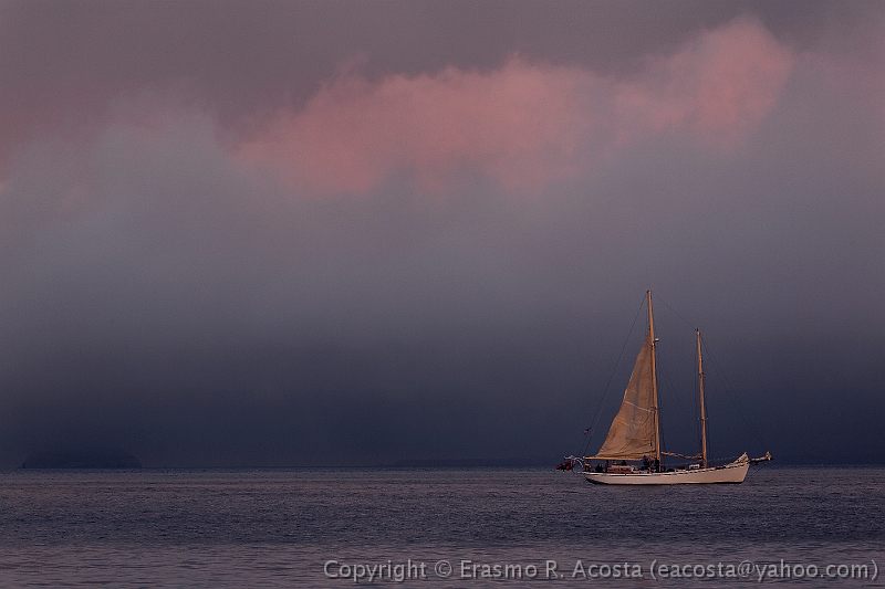 _mg_0095_DxO_raw_8x12