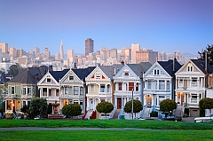  Painted Ladies II