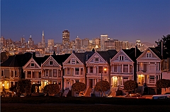  Painted Ladies I