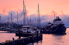  Sausalito Marina