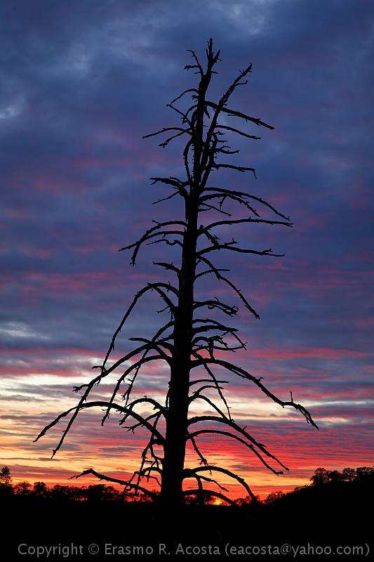 _MG_1273_DxO_raw