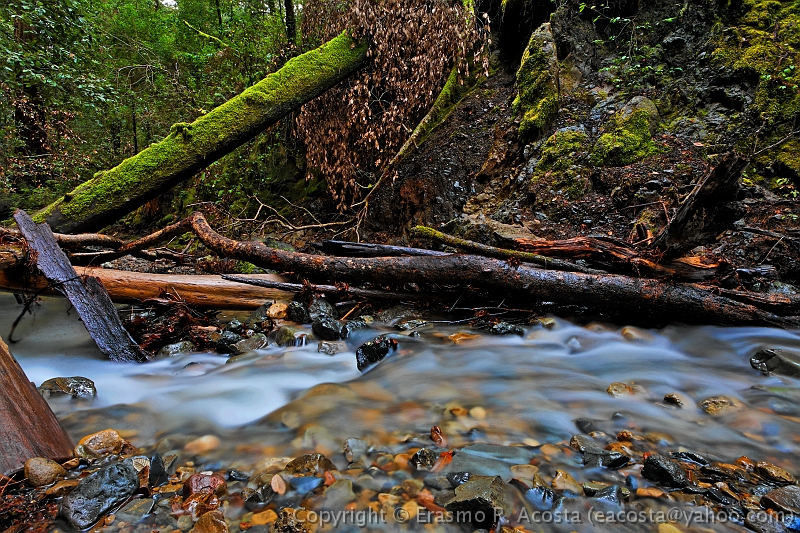 _MG_3533_DxO_raw