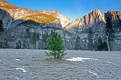  Lone Pine II