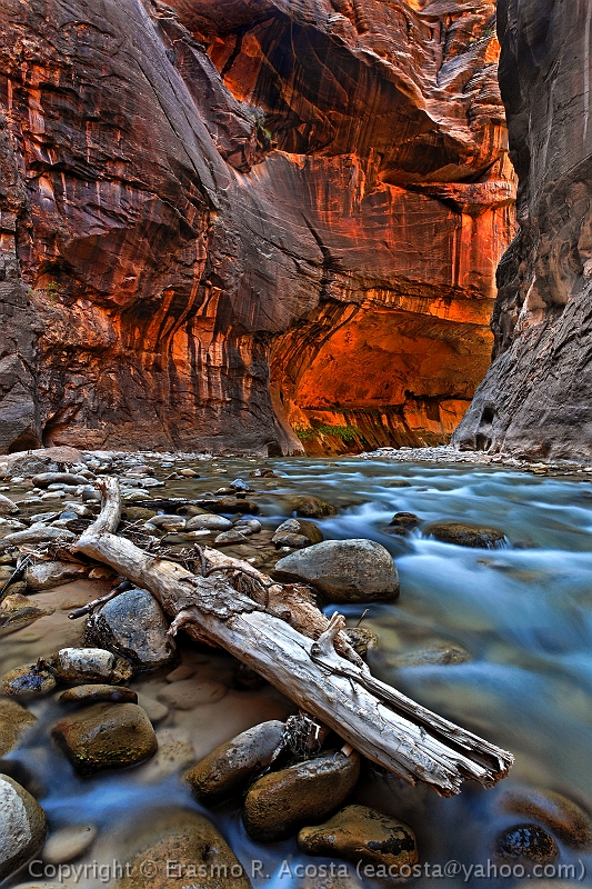 _MG_9873_DXO-v3_8x12